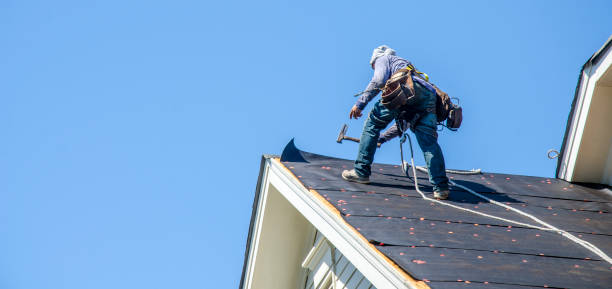 Best Roof Maintenance Services  in Bloomingburg, OH